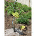 Stakes di supporto a spirale galvanizzato da 6 mm di pomodoro